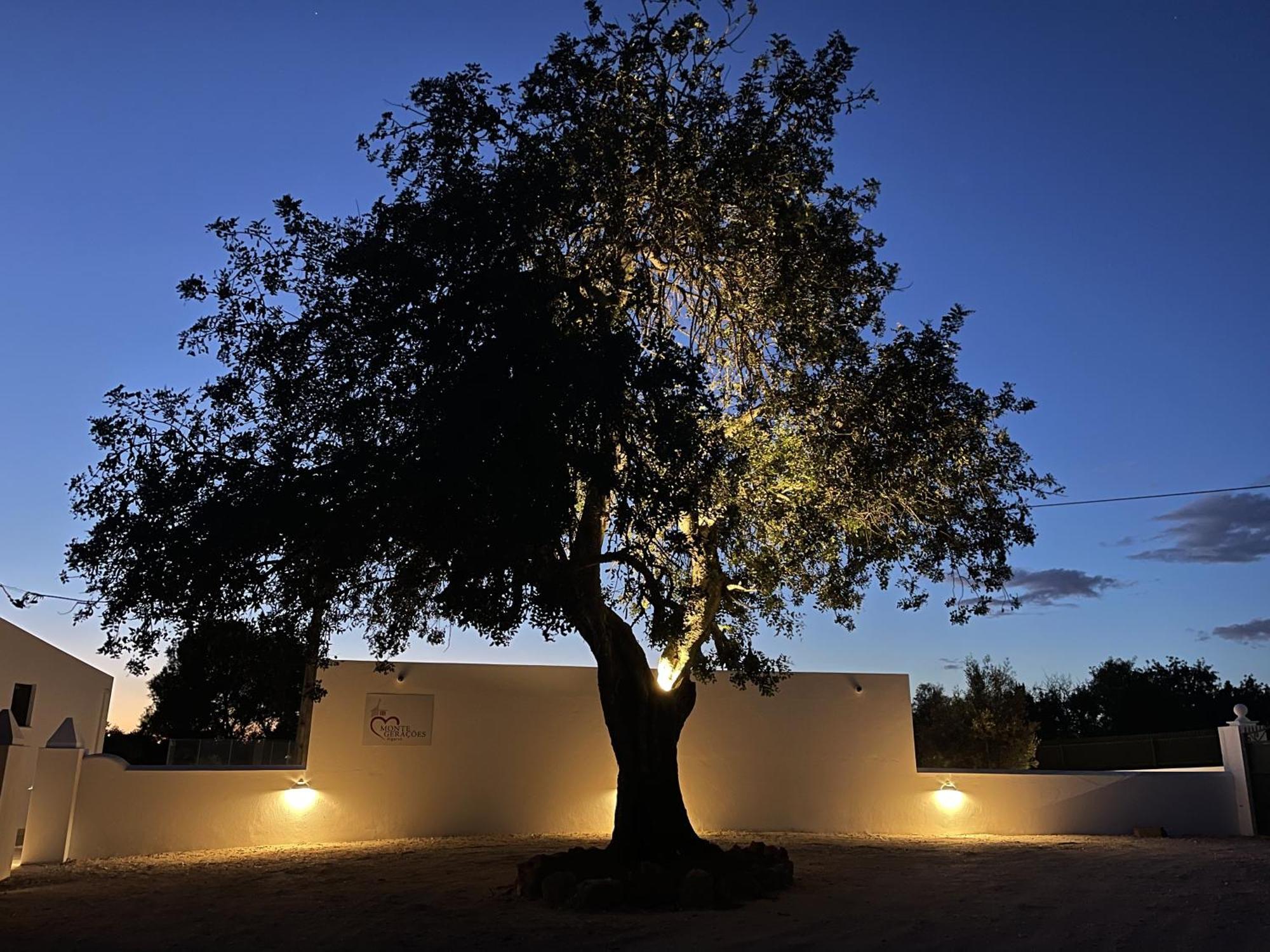 Monte Geracoes - Heated Pool - Typical Algarvian - Close To Quinta Lago, Vale Lobo And Vilamoura Almancil Extérieur photo